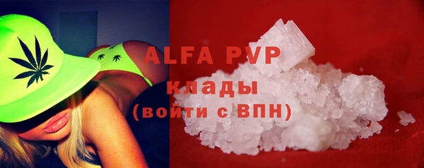 сатива Аркадак