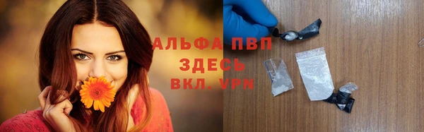сатива Аркадак