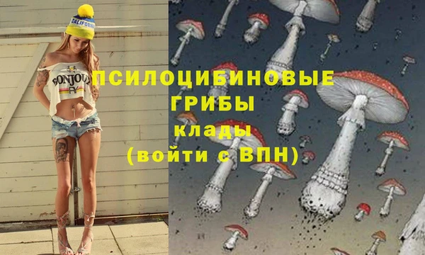 прущий лед Армянск