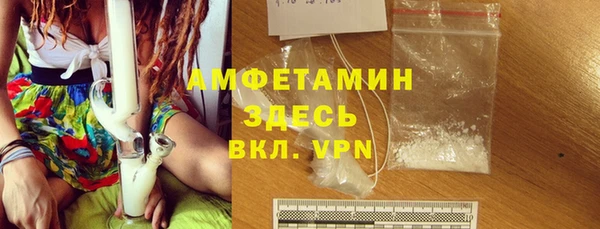 сатива Аркадак