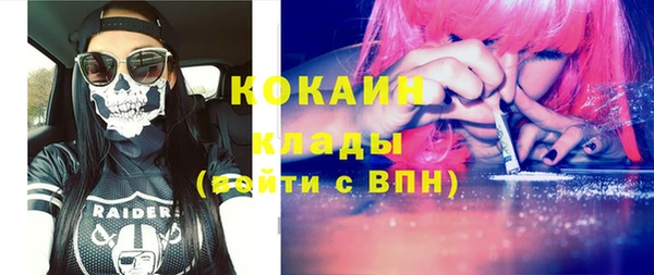 сатива Аркадак
