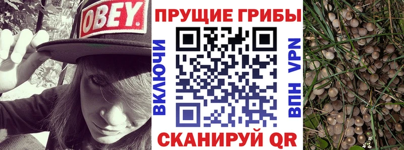 Псилоцибиновые грибы мицелий  Белоярский 